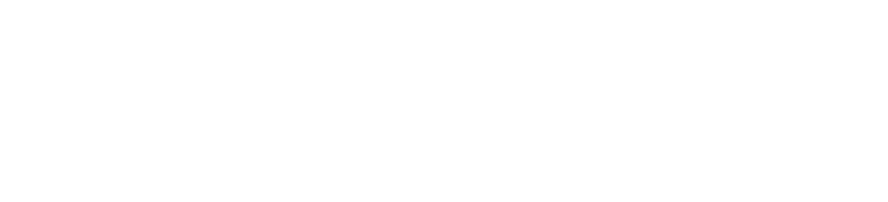Speed Ventures